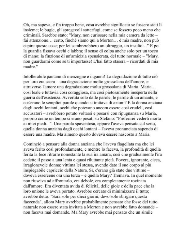 Il pozzo della solitudine - Radclyffe Hall (The Well of Loneliness - Italiano) - Image 2