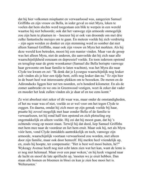 Een Amerikaanse tragedie - Theodore Dreiser (An American Tragedy - Nederlands) - Image 2