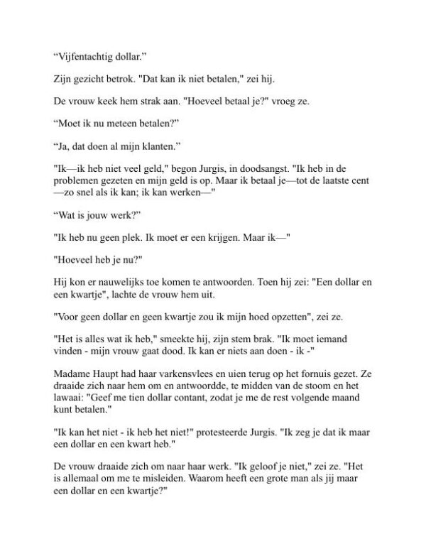 De jungle - Upton Sinclair (The Jungle - Nederlands) - Image 2