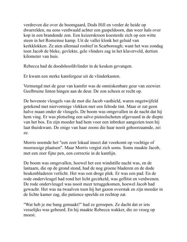 Jacobskamer - Virginia Woolf (Jacob’s Room - Nederlands) - Image 2