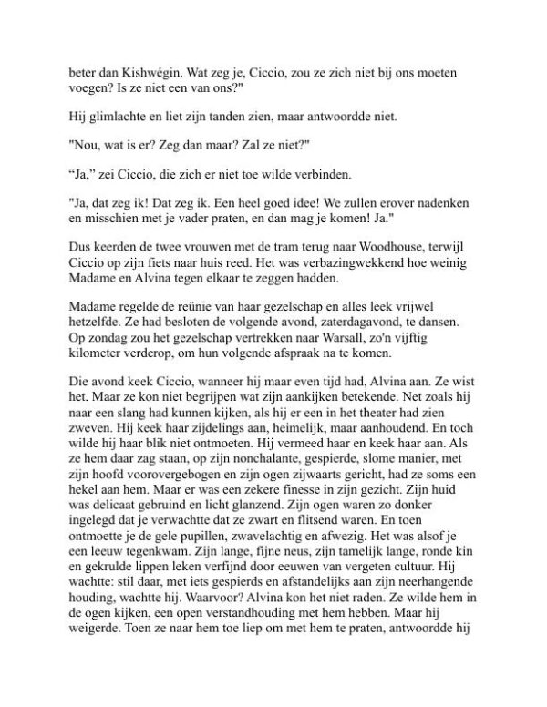 Het verloren meisje - D. H. Lawrence (The Lost Girl - Nederlands) - Image 2