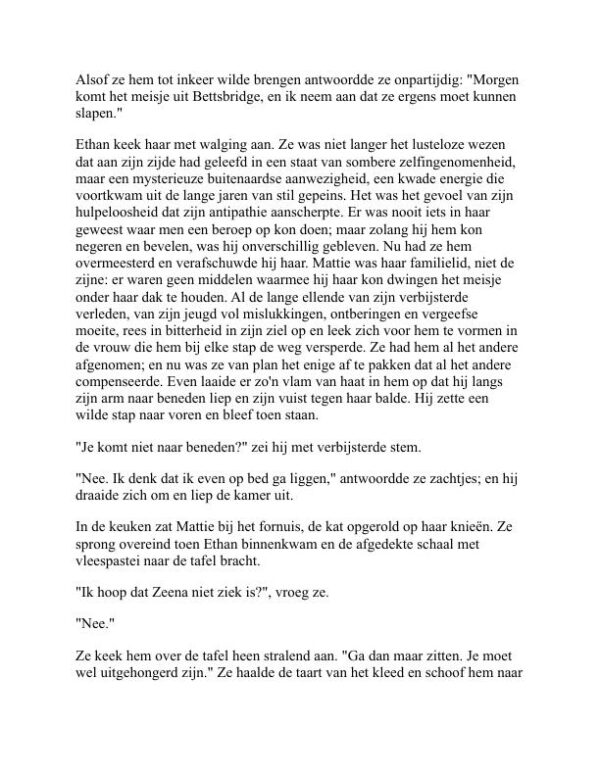Ethan Frome - Edith Wharton (Ethan Frome - Nederlands) - Image 2