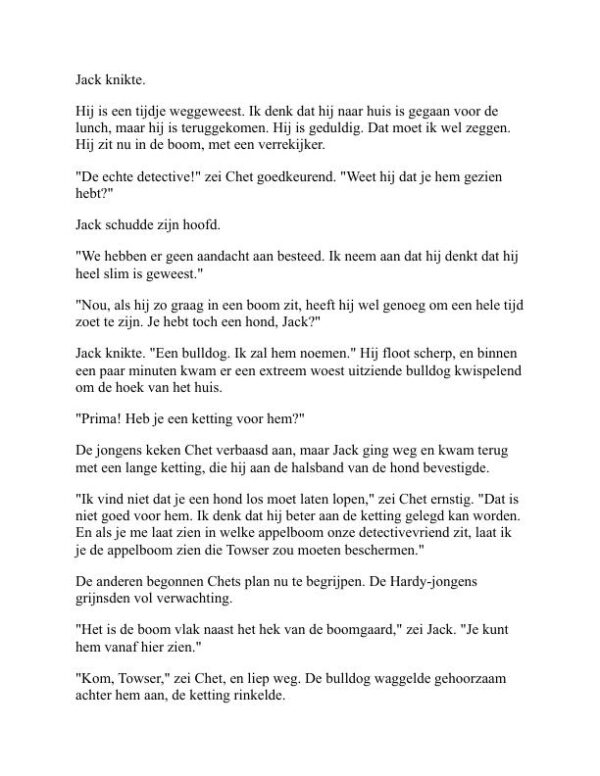 Het mysterie van Shore Road - Franklin W. Dixon (The Shore Road Mystery - Nederlands) - Image 2