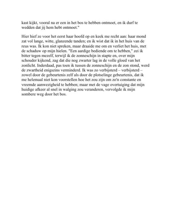 Fantasten - George MacDonald (Phantastes - Nederlands) - Image 2