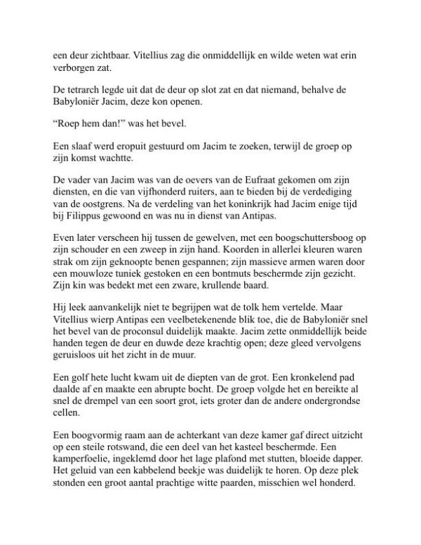 Kort Verhaal - Gustave Flaubert (Short Fiction - Nederlands) - Image 2