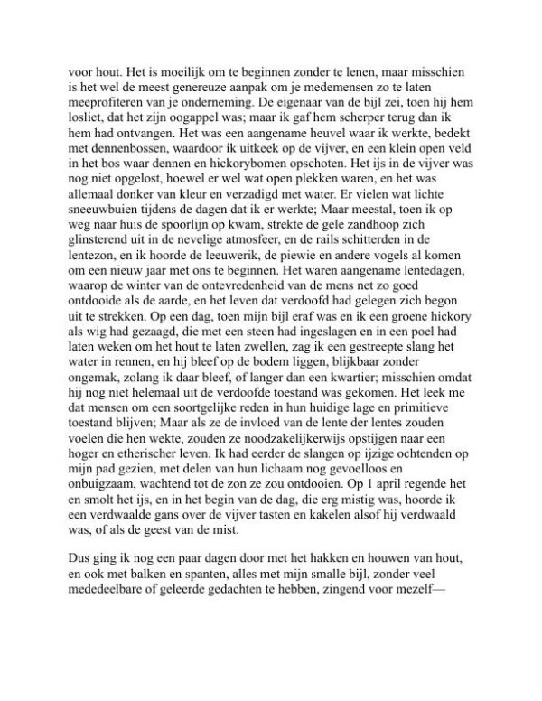 Walden - Henry David Thoreau (Walden - Nederlands) - Image 2