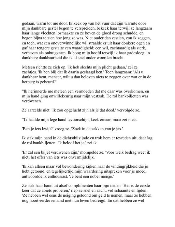 Een vreemde verdwijning - Anna Katharine Green (A Strange Disappearance - Nederlands) - Image 2
