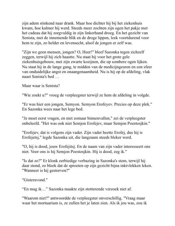 Kort Verhaal - Leonid Andreyev (Short Fiction - Nederlands) - Image 2