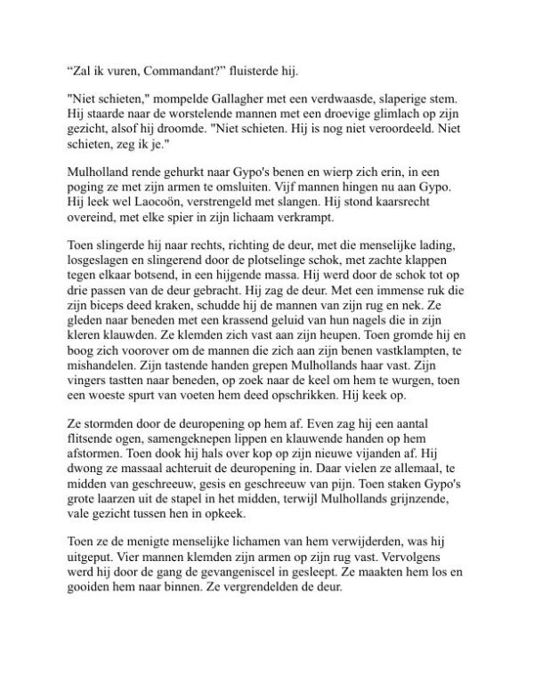 De informant - Liam O’Flaherty (The Informer - Nederlands) - Image 2