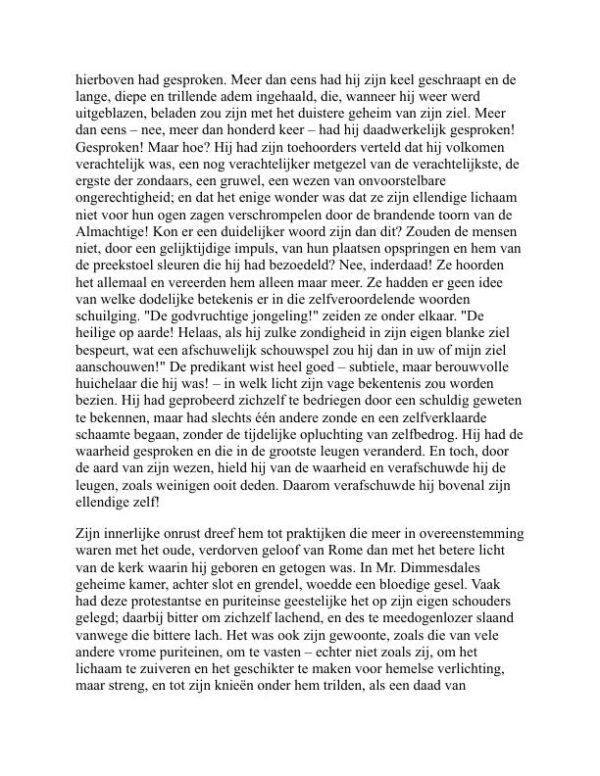 De Scharlaken Letter - Nathaniel Hawthorne (The Scarlet Letter - Nederlands) - Image 2