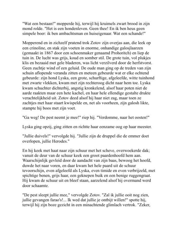 Kort Verhaal - Anton Chekhov (Short Fiction - Nederlands) - Image 2