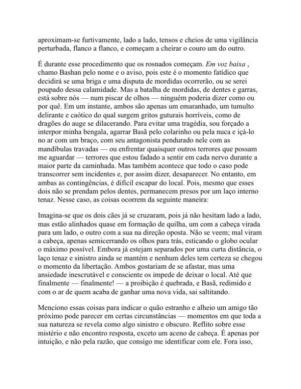 Basã e eu - Thomas Mann (Bashan and I - Portugues) - Image 2