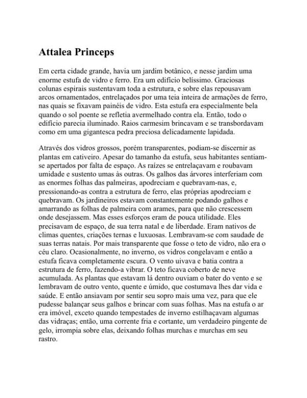Ficção curta - Vsevolod Garshin (Short Fiction - Portugues) - Image 2