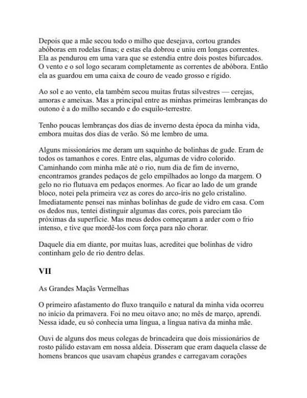 Histórias dos índios americanos - Zitkála-Šá (American Indian Stories - Portugues) - Image 2