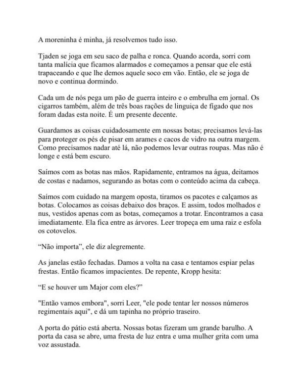Tudo quieto na frente ocidental - Erich Maria Remarque (All Quiet on the Western Front - Portugues) - Image 2