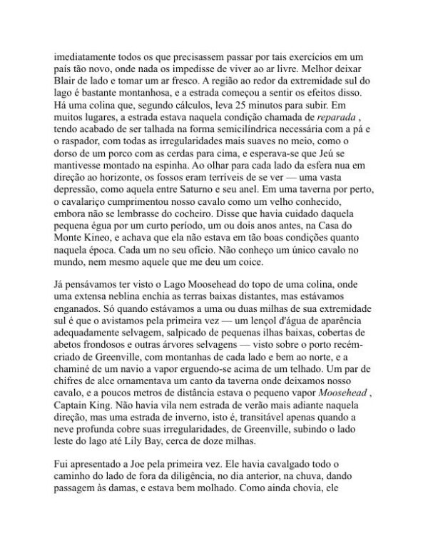 Ensaios - Henry David Thoreau (Essays - Portugues) - Image 2