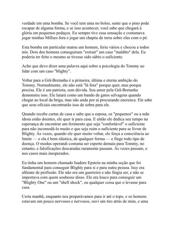 Um ianque nas trincheiras - Robert Derby Holmes (A Yankee in the Trenches - Portugues) - Image 2